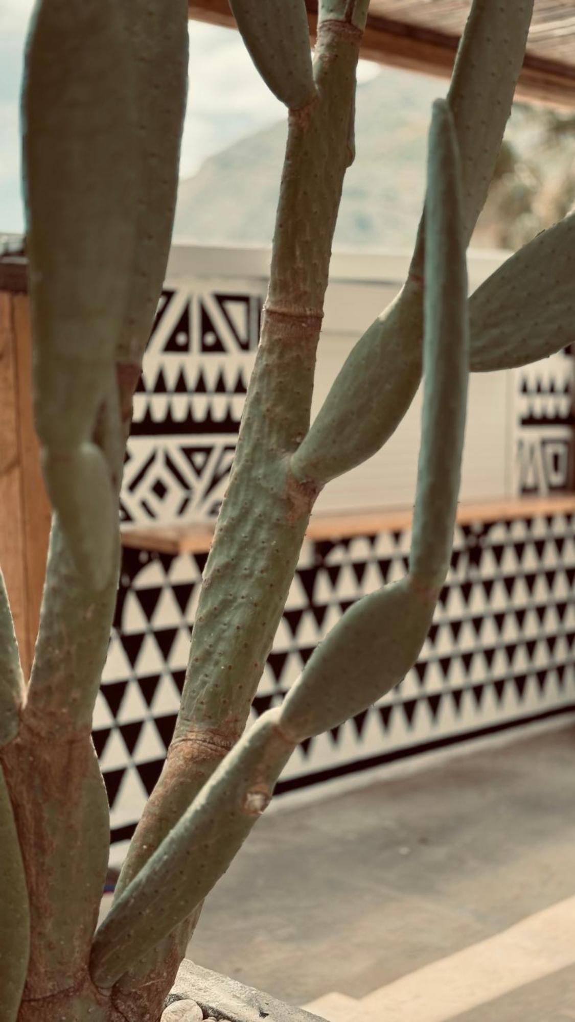 La Casa Di Lusso N4 - Adults Only Kolymbia
