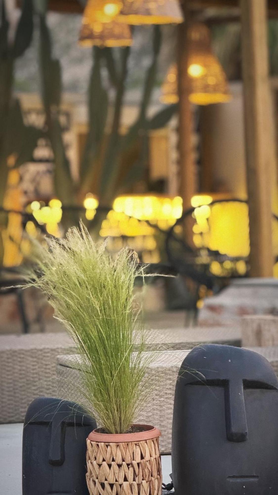 La Casa Di Lusso N4 - Adults Only